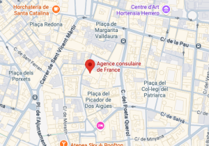 carte google map