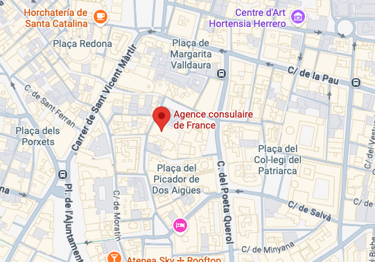 carte google map
